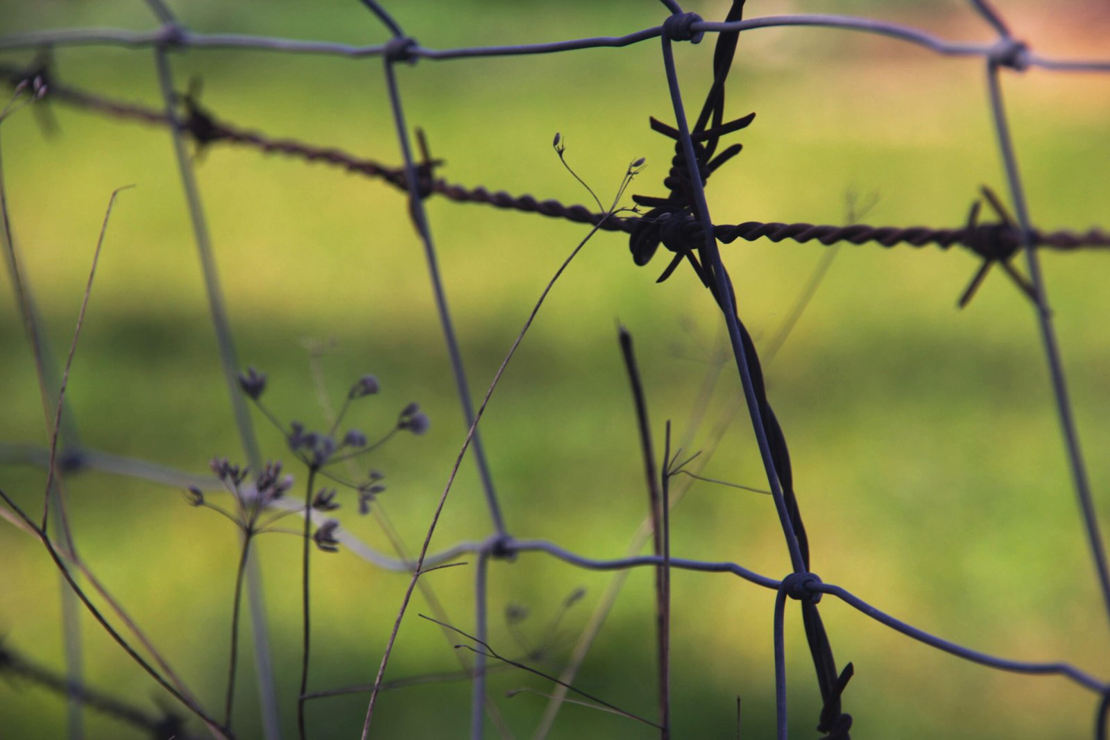 Imagen de Reintegración de reclusas