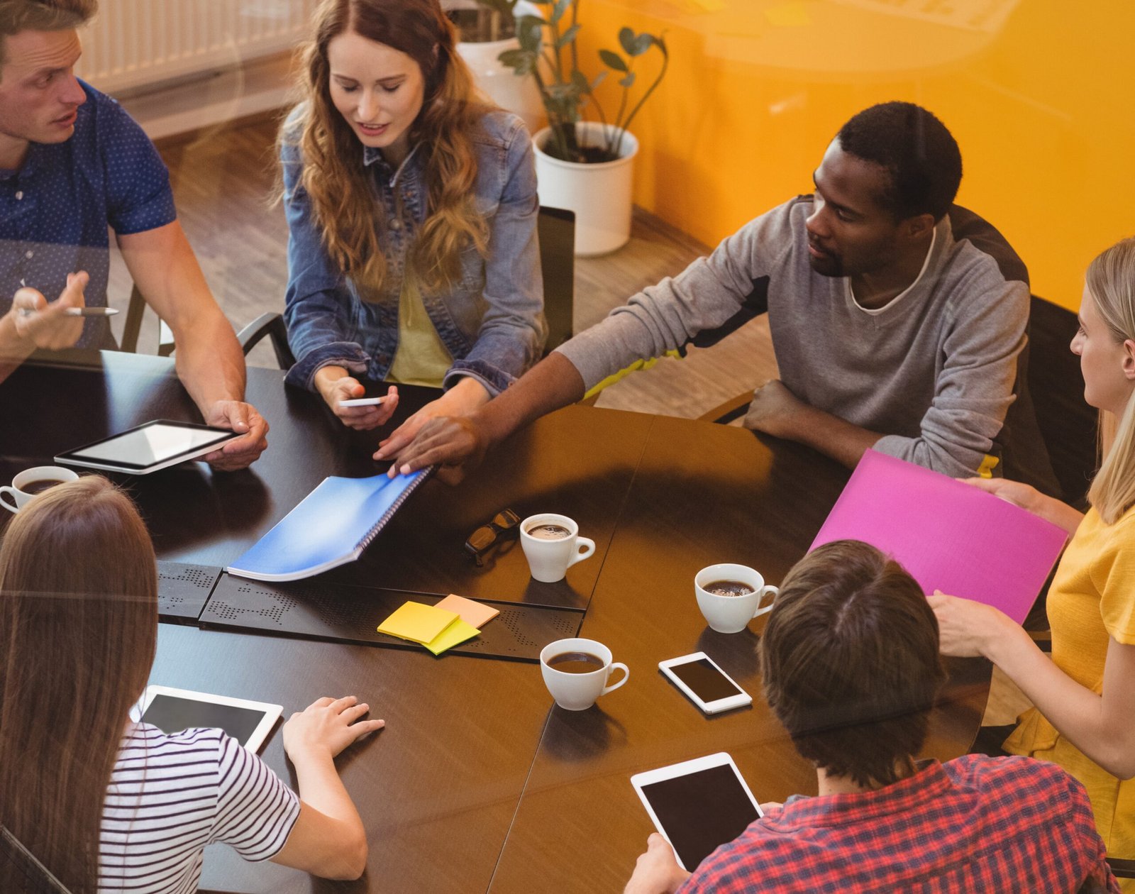 Imagen de Diversidad funcional